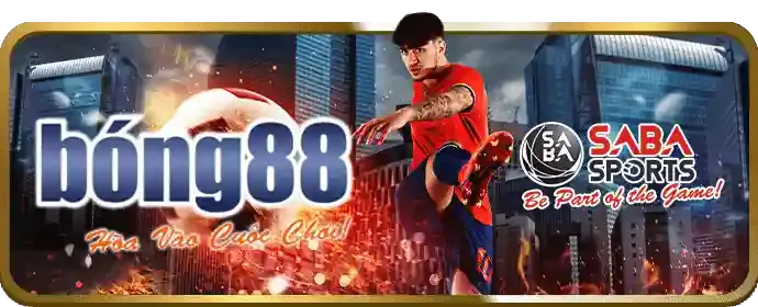 Lịch sử phát triển của 88nn99